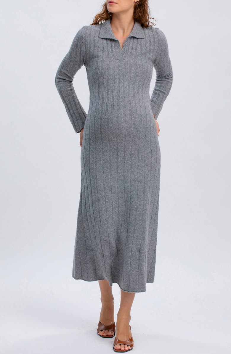 PIETRO BRUNELLI MATERNITY Beatrice Maternity Midi Dress, Main, color, Steel