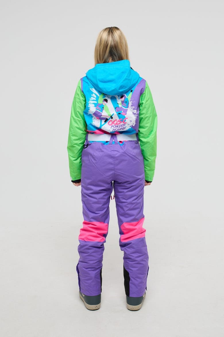 Powder Hound Ski Suit - Women's, Alternate, color, multi-colour