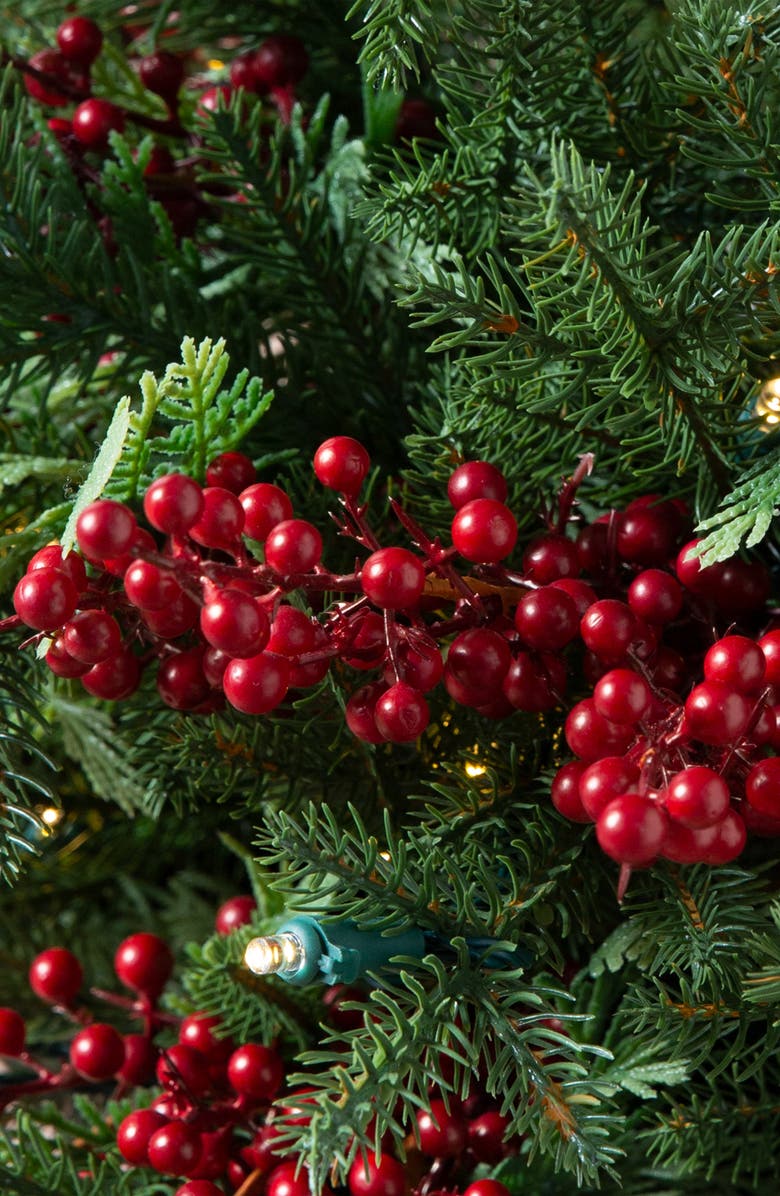 Balsam Hill Outdoor Red Berry Evergreen Pre-Lit Artificial Potted Tree, Alternate, color, Green