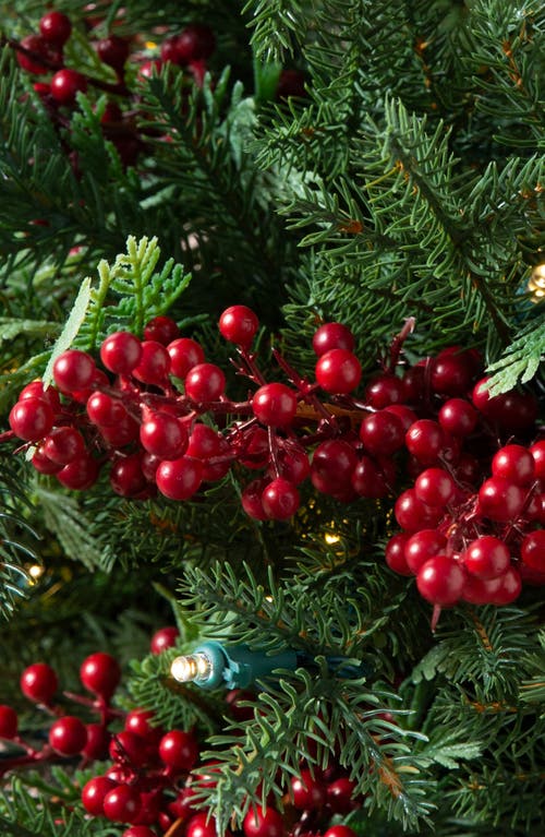 Balsam Hill Outdoor Red Berry Evergreen Pre-lit Artificial Potted Tree In Green