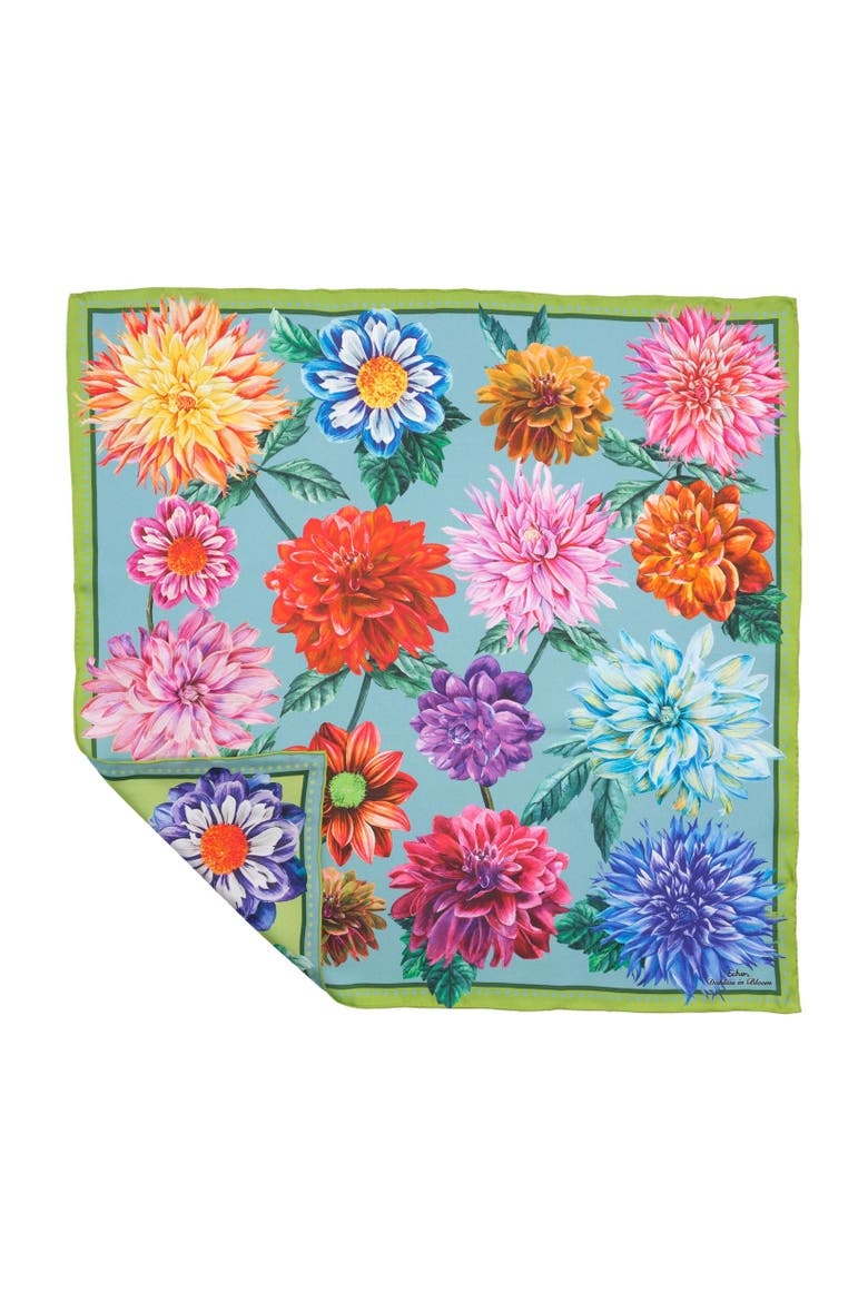 Dahlias In Bloom, Main, color, sky blue