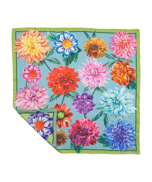 Echo Dahlias In Sky Blue
