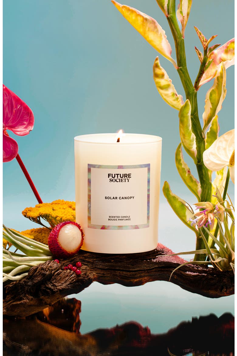 Solar Canopy Scented Candle, Alternate, color, NO COLOR