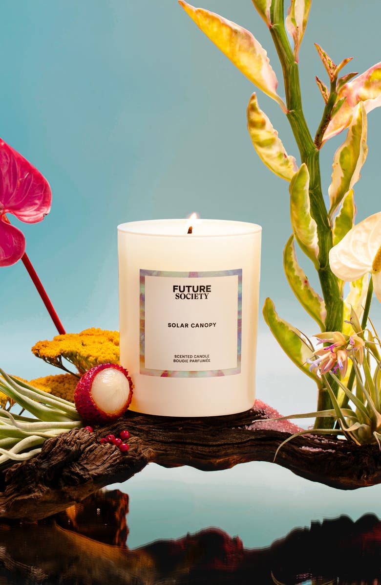 Future Society Solar Canopy Scented Candle, Alternate, color,