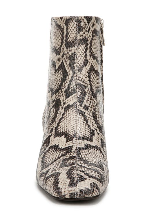 Sam Edelman Paige Ankle Bootie Roccia Grey Snake Print In Roccia