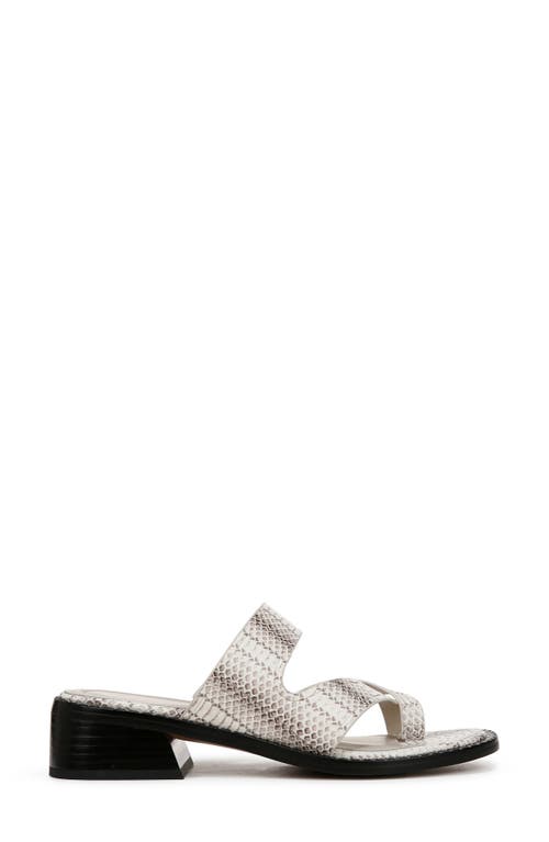 SARTO BY FRANCO SARTO SARTO BY FRANCO SARTO SAYLOR SLIDE SANDAL 