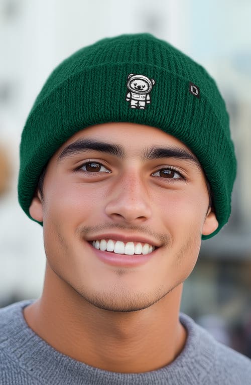 Dalix Ice Bear Beanie In Green