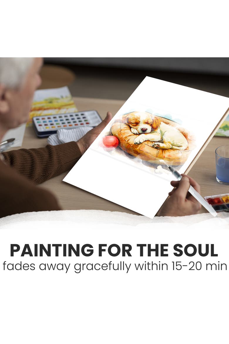 Reusable Water Painting Activity Kit for Seniors - Dementia-Friendly Crafts, Alternate, color, Home