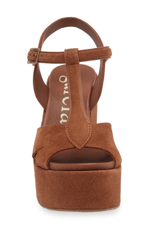 Pedro Garcia Domiel Ankle Strap Platform Sandal In Spice Castoro