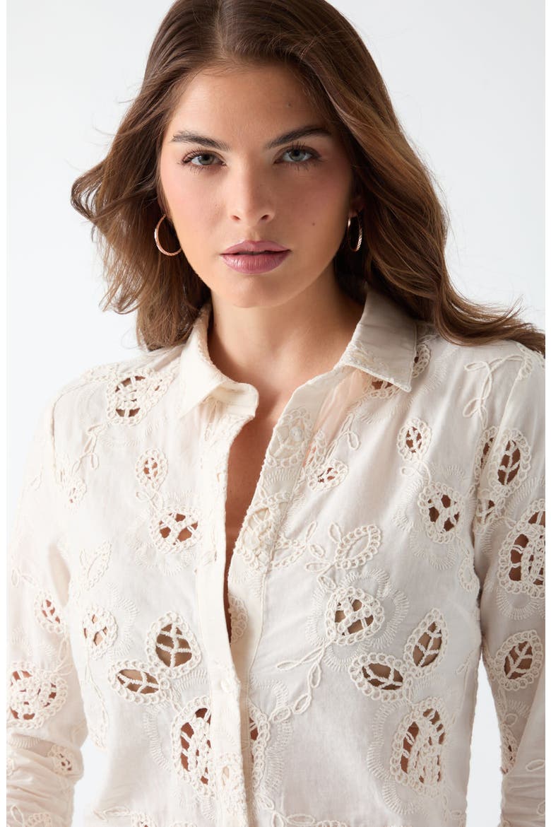 Lenora Embroidered Eyelet Crop Top, Alternate, color, WHITE