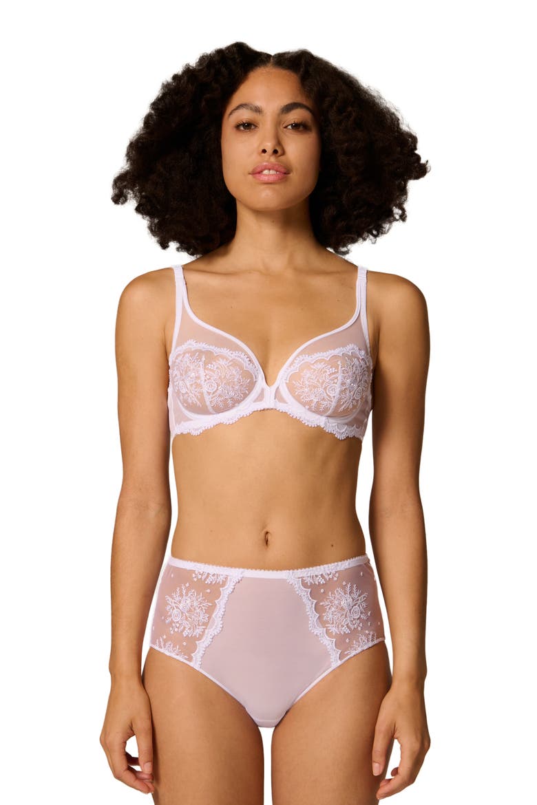 Intrigue Floral Embroidered Briefs, Alternate, color, WHITE
