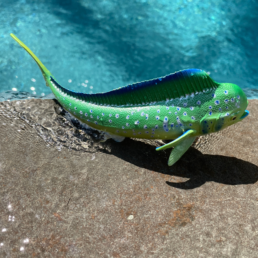Mahi-Mahi (Dolphin Fish) Toy | Nordstrom