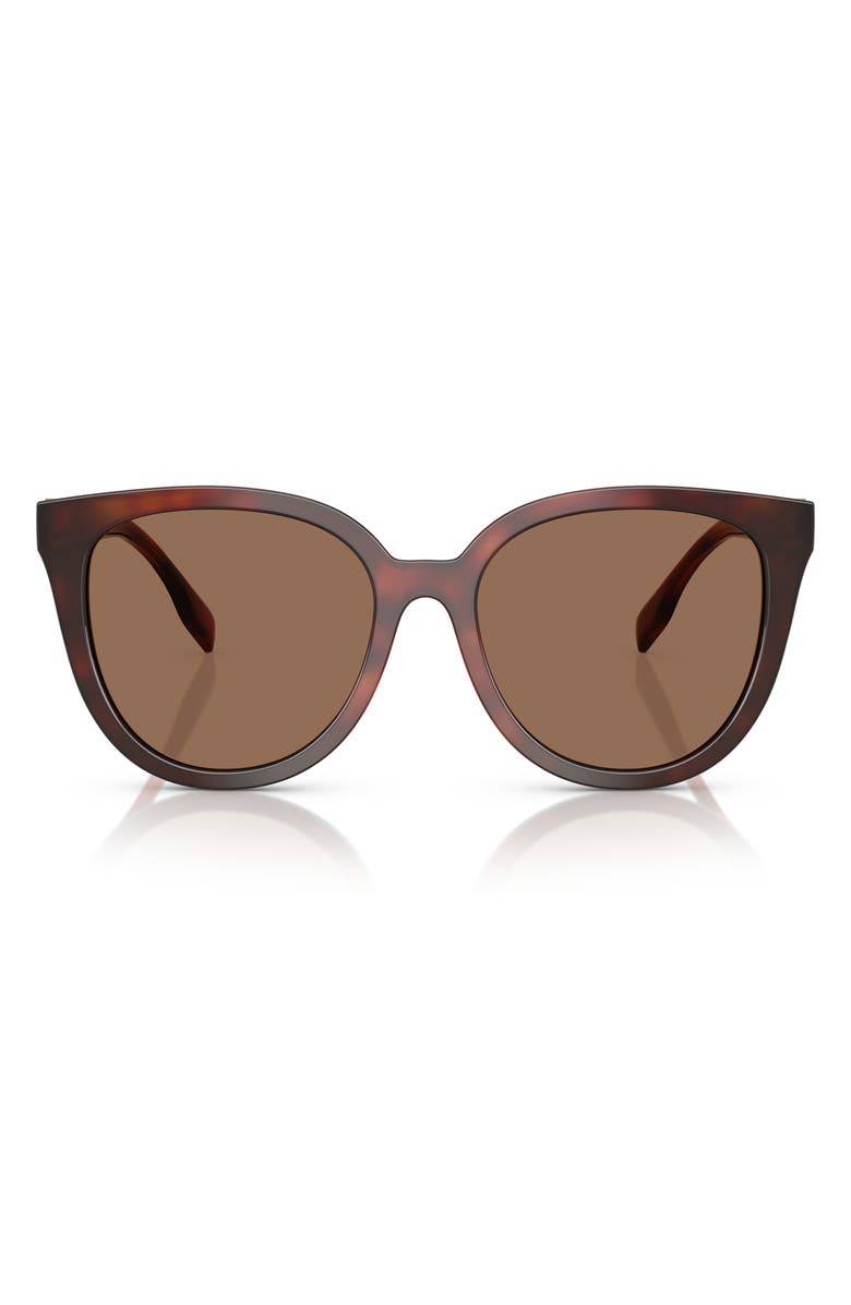 Tory Burch 56mm Phantos Sunglasses, Main, color, Dark Brown