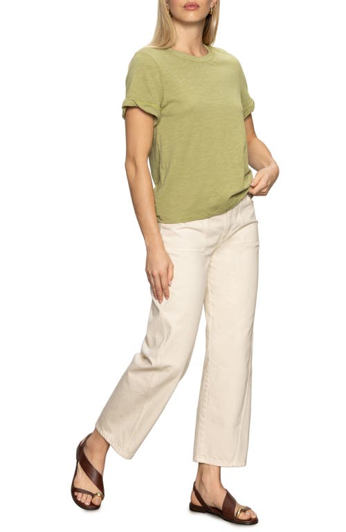 Sanctuary Perfect Roll Sleeve Cotton T-shirt In Green