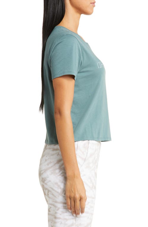 TRAVISMATHEW TRAVISMATHEW BUENOS AIRES COTTON STRETCH JERSEY GRAPHIC T-SHIRT