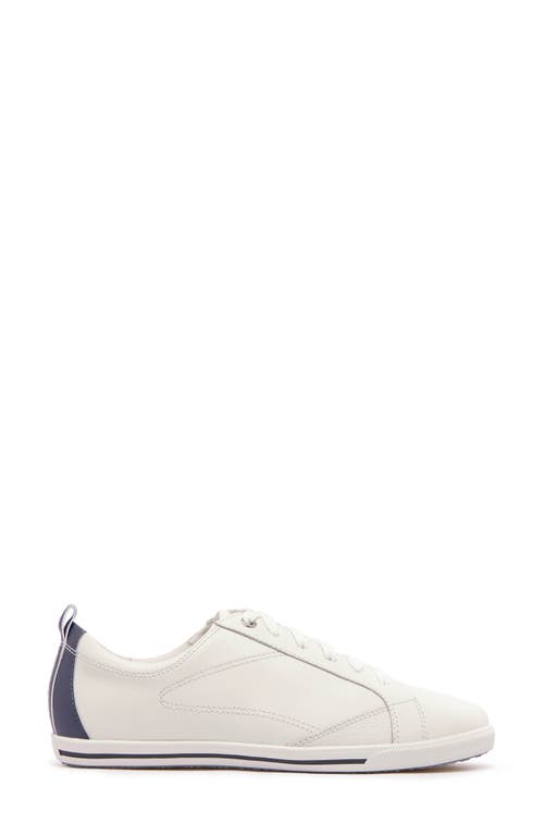 Frankie4 Asher Sneaker