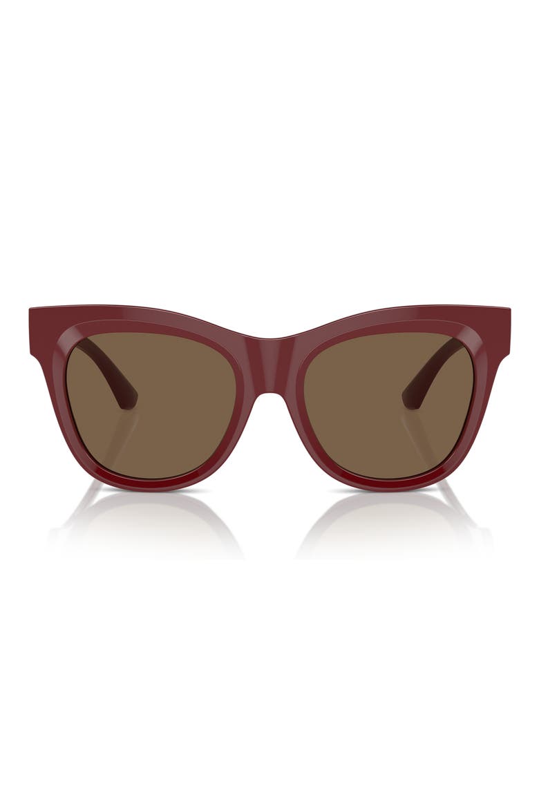 Evolution 54mm Cat Eye Sunglasses, Main, color, BORDEAUX