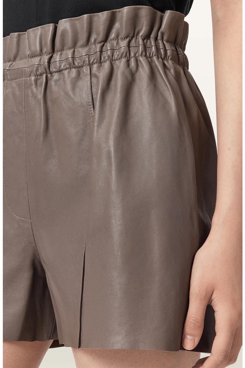 Fran Leather Shorts, Alternate, color, MOLE BROWN