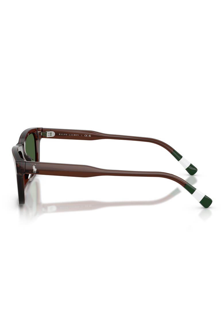 54mm Phantos Sunglasses, Alternate, color, TRANSPARENT BROWN / GREEN