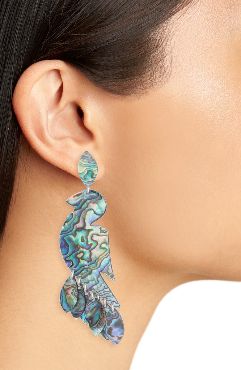 Isabel Marant Ali Drop Earrings, Alternate, color, 