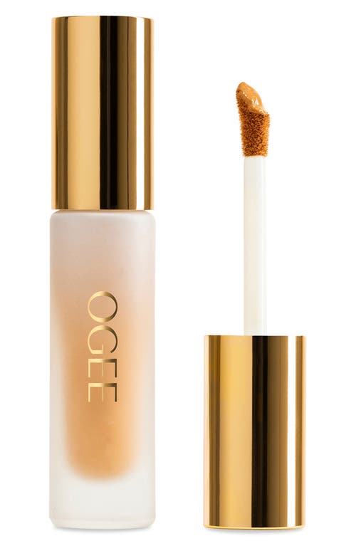 Ogee Complexion Perfecting Concealer In Green