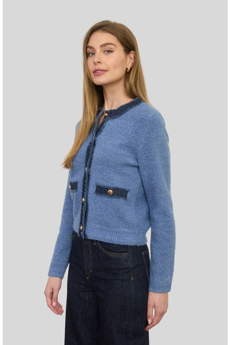 Fringe Trim Cardigan, Alternate, color, BLUE