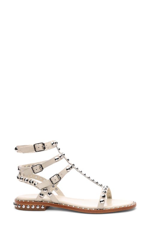 ASH ASH PLAY STUDDED GLADIATOR SANDAL