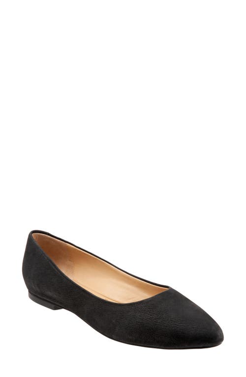 Trotters Emory d'Orsay Pointed Toe Flat in Black Nubuck at Nordstrom, Size 9