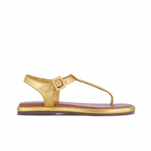 Bernardo Footwear Tucson T-strap Sandal In Gold