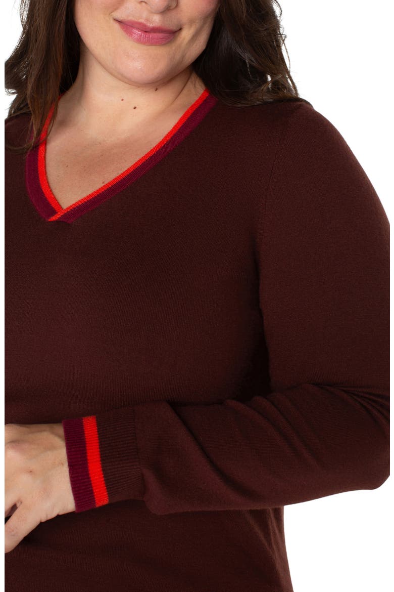 Colorblock Sweater, Alternate, color, RETRO BROWN MULTI