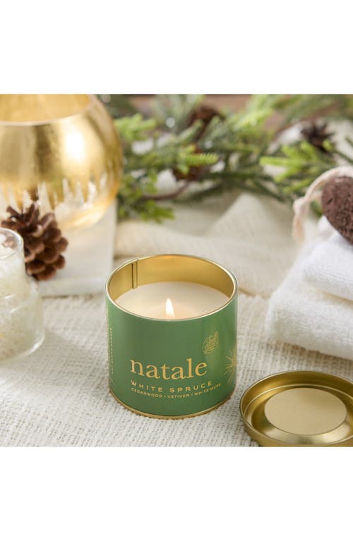 Via Mercato Natale White Spruce Candle In Green
