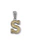  Silver/Gold S