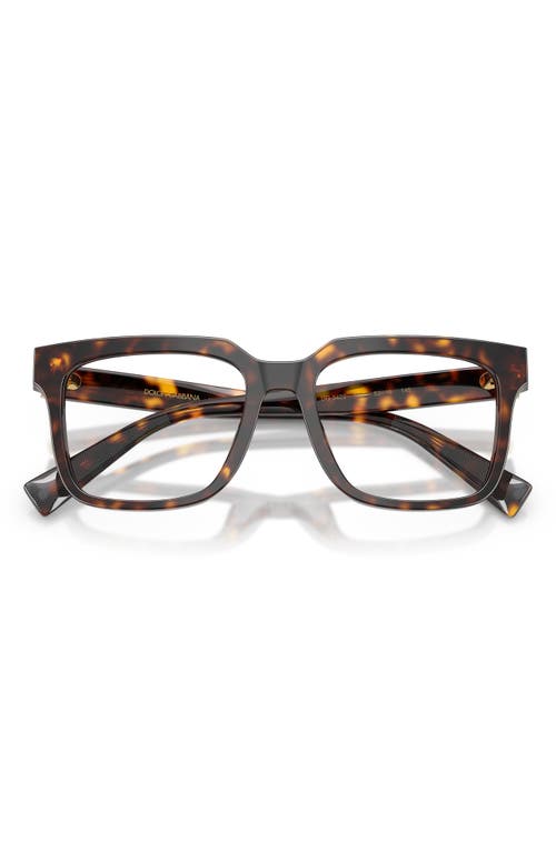 Dolce & Gabbana Dolce&gabbana 53mm Polarized Square Optical Glasses In Havana