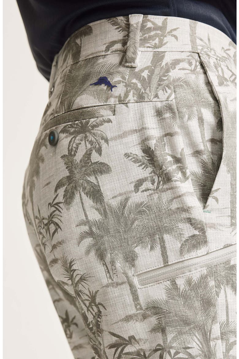 Bahama Coast Oasis Shorts, Alternate, color, BALA SHARK