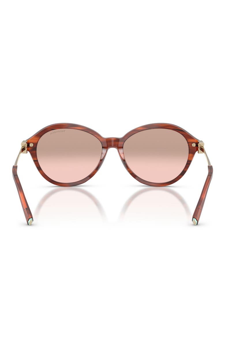 56mm Gradient Round Sunglasses, Alternate, color, RUBY STRIPED HAVANA / PINK