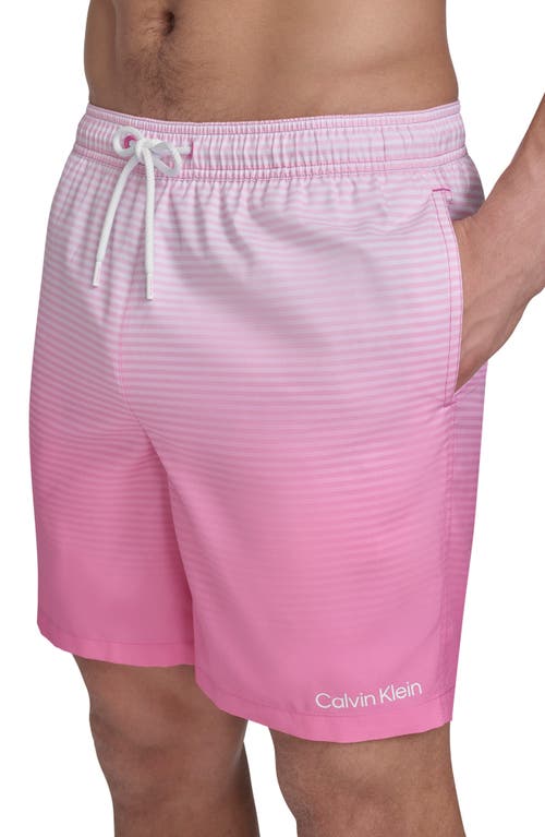 Calvin Klein Graphite Stripe Core Volley Swim Trunks In Hot Pink