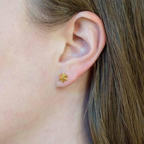 Astor & Orion Women's Gold Star Stud Earrings In Gold