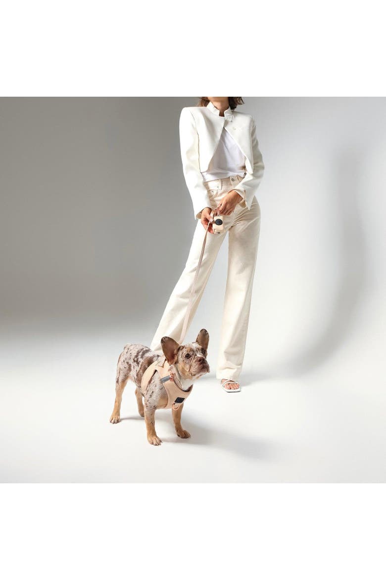 SoHo Dog Walking Set, Alternate, color, Dune