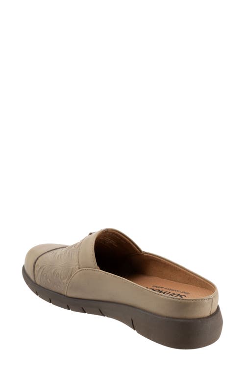 Softwalk San Marcos Tooling Mule In Stone