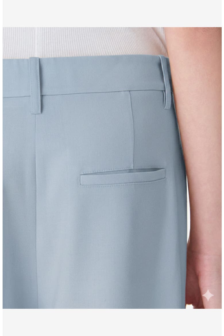 Aluri Wide Leg Trouser, Alternate, color, Steel