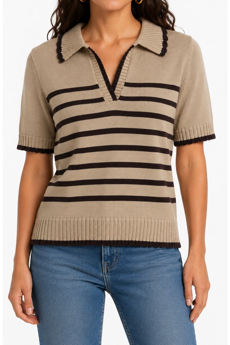 Stripe Polo Sweater, Main, color, OATMEAL/ BROWN
