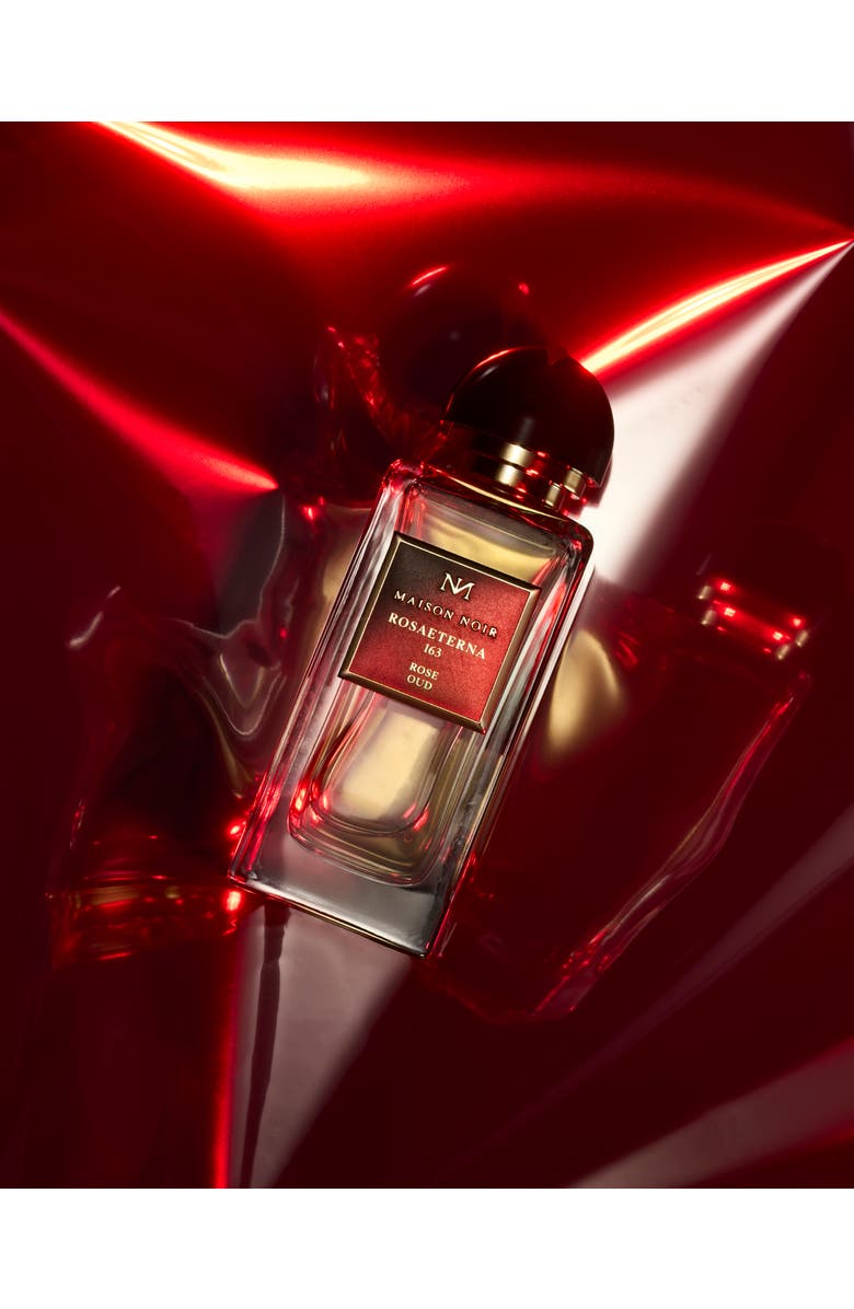 MAISON NOIR RosaEterna 163, Alternate, color, NO COLOR