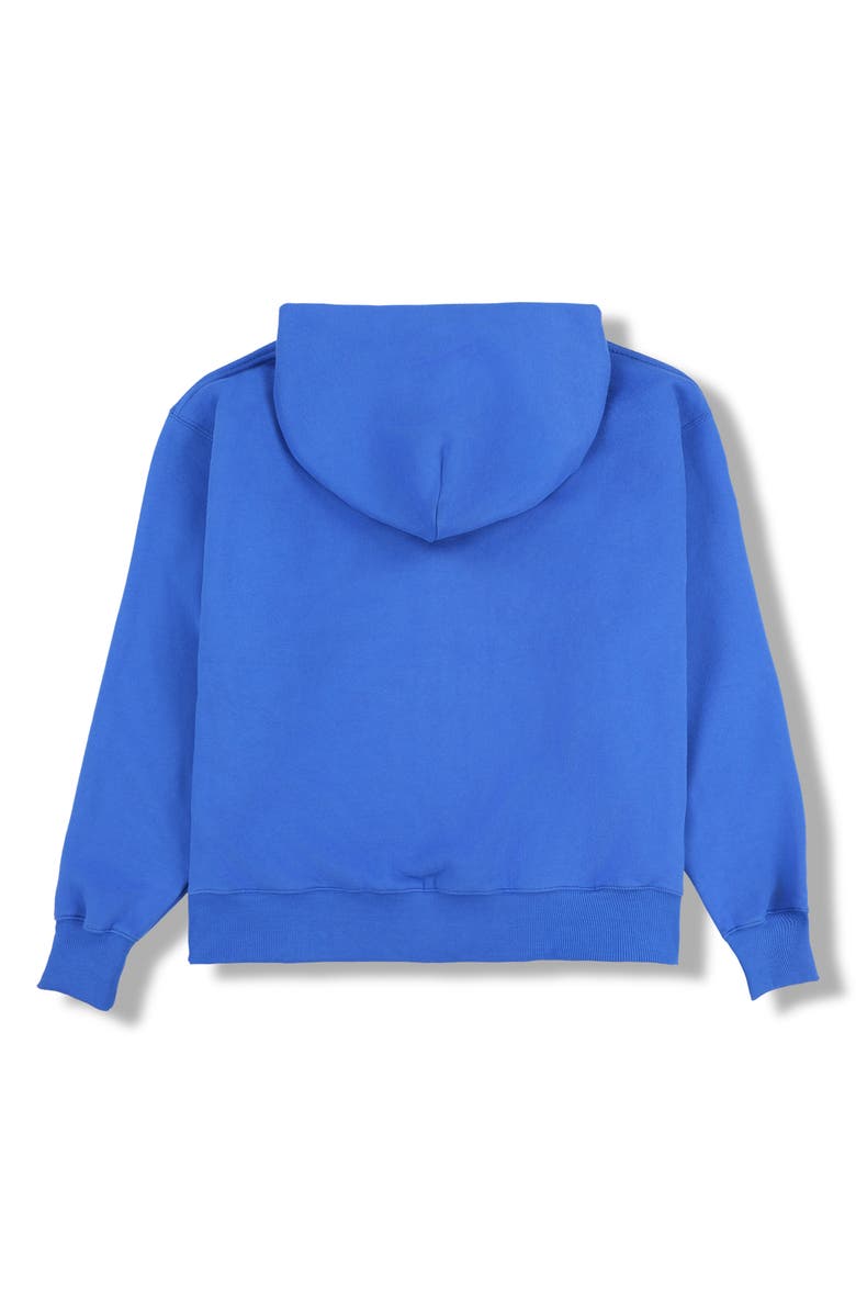 PLEASURES Split Graphic Zip Hoodie, Alternate, color, 