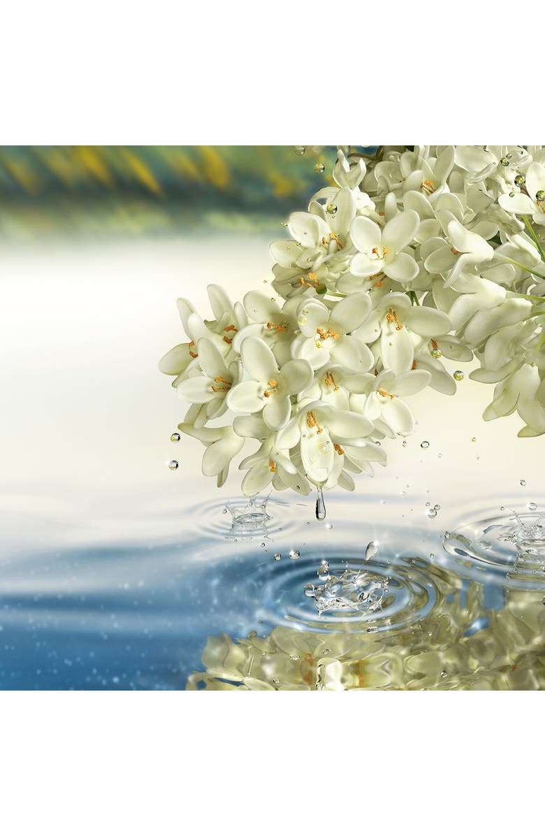 Estée Lauder Luxury Collection Paradise Moon Eau de Parfum, Alternate, color, 