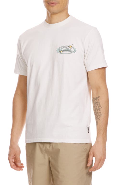 Quiksilver Nature Magic Graphic T-shirt In Tofu