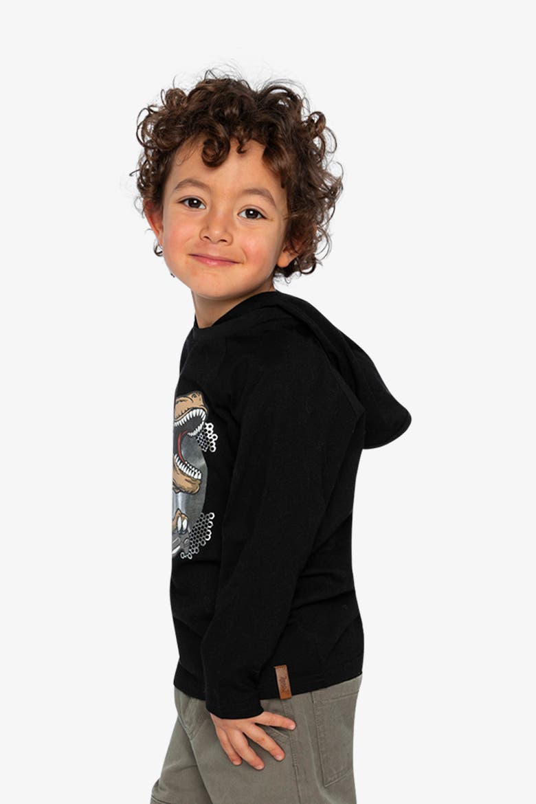 Raglan Hooded Graphic T-Shirt, Alternate, color, Black and Brown