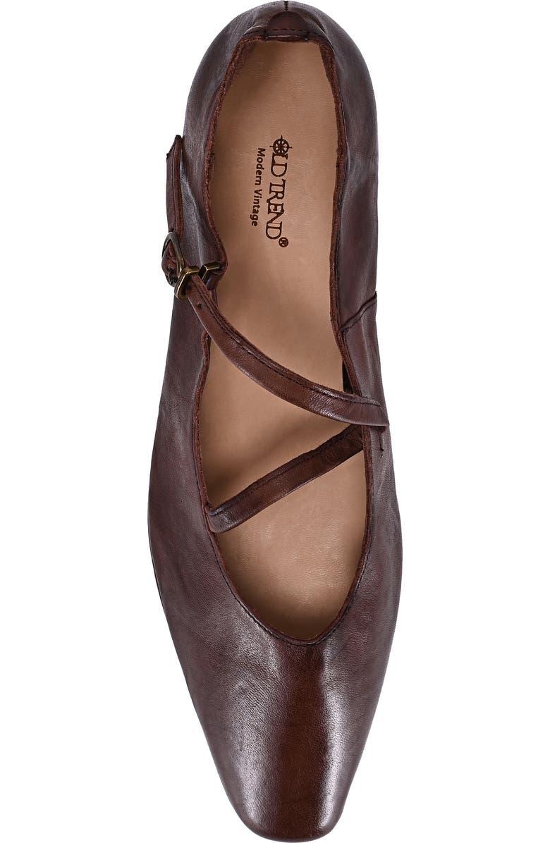 OLD TREND Ribbon Genuine Leather Elegant Strap Mary Jane Heel, Alternate, color, Coffee