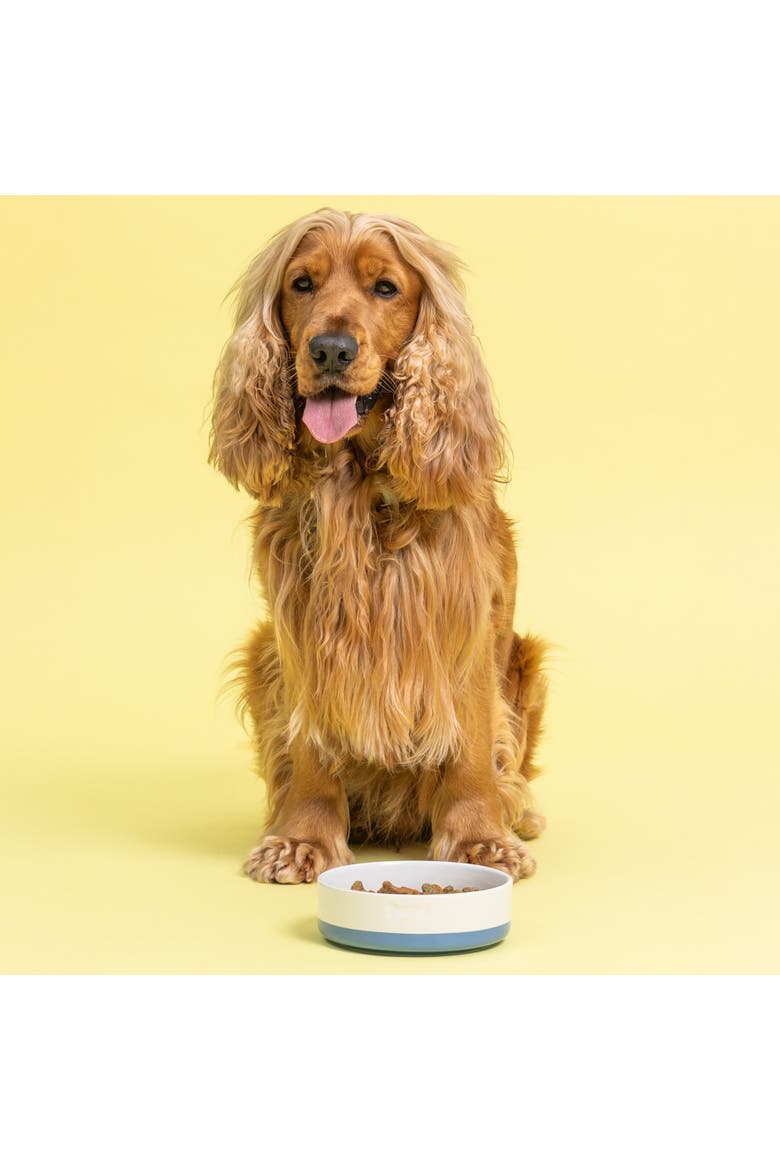 Speckle Dip Dog Bowl, 5.9 Inch, 15.2 ounces, Food & Water Dish, Alternate, color, Multicolored