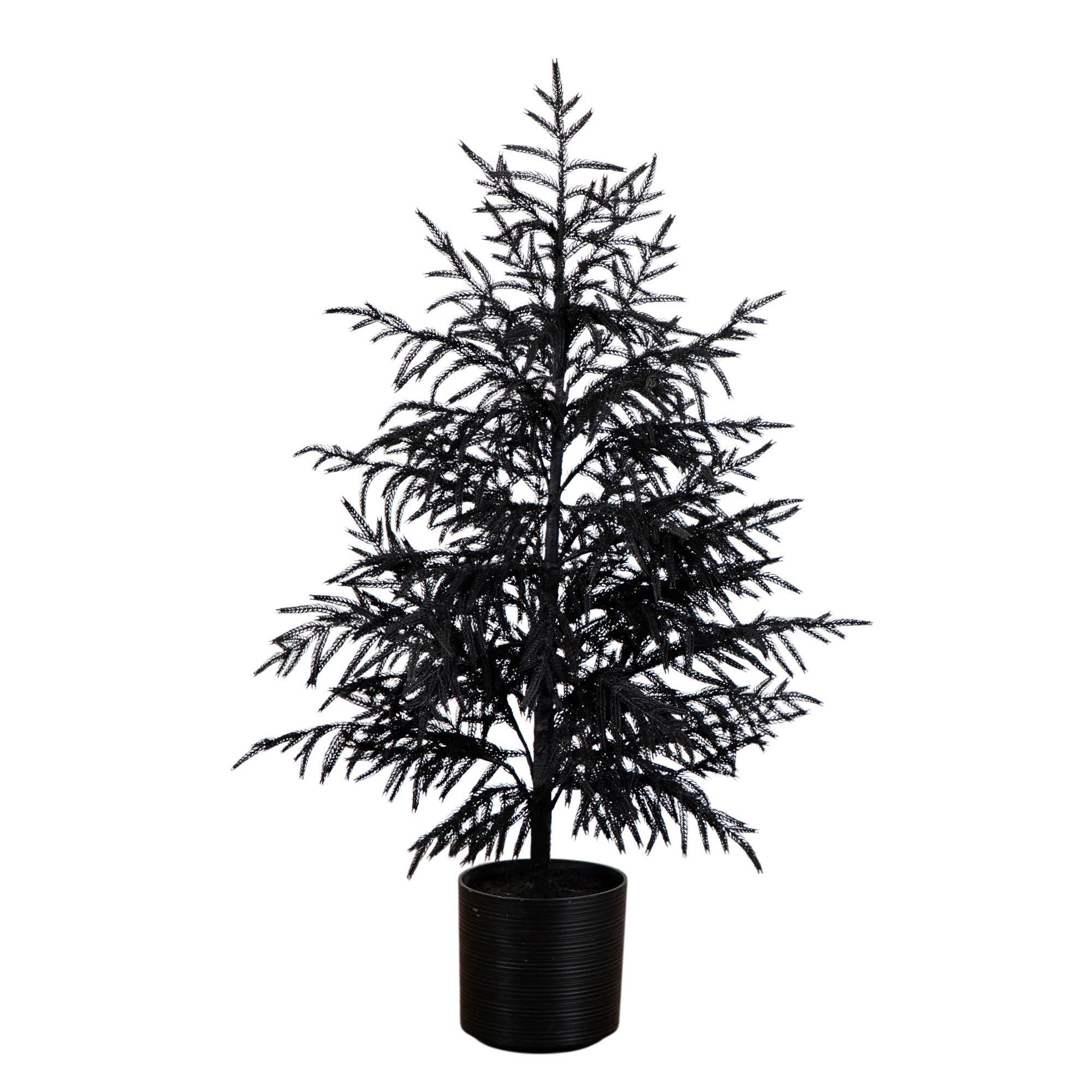 selected Black