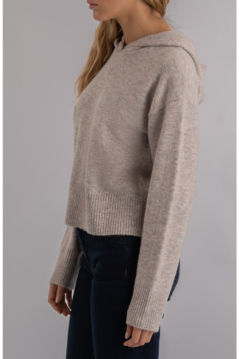 Linden Hooded Sweater, Alternate, color, TAUPE